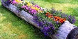 paturi de aranjamente florale din curtea unei case private - în căutarea stilului video (curtea o zonă mică) paturi de aranjamente florale din curtea unei case private - în căutarea video stilul său