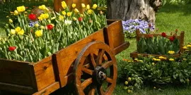 paturi de aranjamente florale din curtea unei case private - în căutarea stilului video (privat) paturi de aranjamente florale din curtea unei case private - în căutarea video stilul său