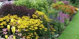 paturi de aranjamente florale din curtea unei case private - în căutarea stilului video (privat) paturi de aranjamente florale din curtea unei case private - în căutarea video stilul său