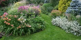 paturi de aranjamente florale din curtea unei case private - în căutarea stilului video de (home) paturi de aranjamente florale din curtea unei case private - în căutarea video stilul său