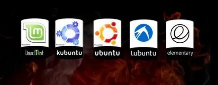 Distribuție - este modul de utilizare a ferestrelor de distribuție și alte sisteme de operare
