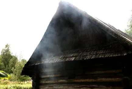 Sisoe cuptor casa ce să facă, motivele de fum atunci când se deschide ușa, și alte video și foto
