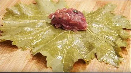 Dolma cum să gătească frunze de struguri Dolma - retete foarte delicioase