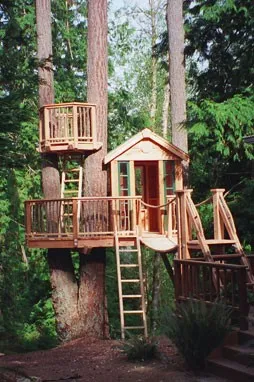 Tree House - 50 de idei pentru a traduce în realitate