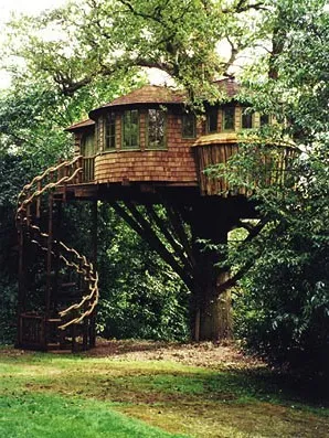 Tree House - 50 de idei pentru a traduce în realitate