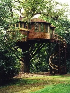 Treehouse - idei noi și vechi