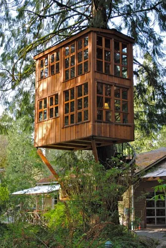 Tree House - 50 de idei pentru a traduce în realitate