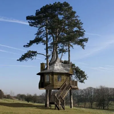 Tree House - 50 de idei pentru a traduce în realitate