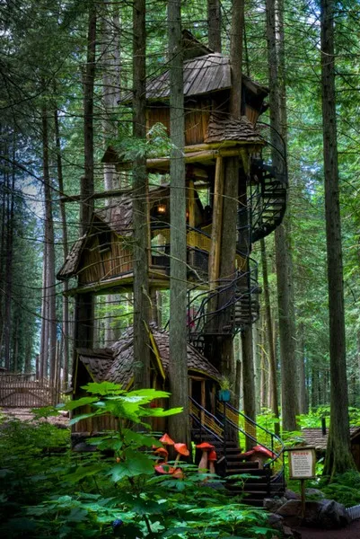 Tree House - 50 de idei pentru a traduce în realitate