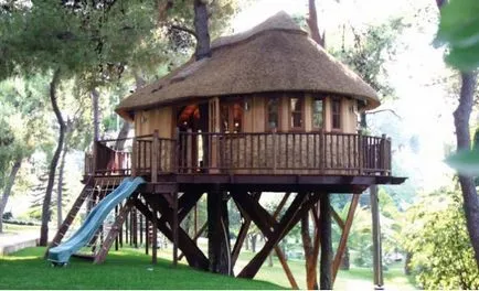 Case 252 de copaci fotografie