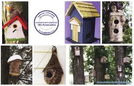 Casa pentru păsările cu mâinile lor în țară (foto), mâinile - modul de a face cel mai mult