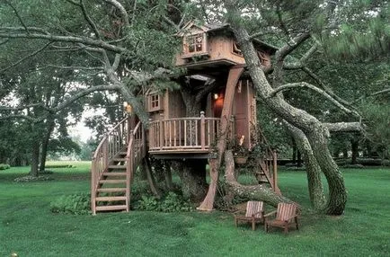 Treehouse - idei noi și vechi