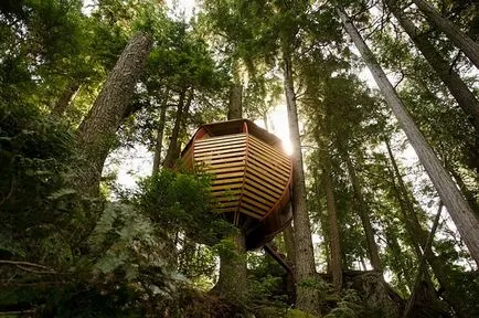 Tree House - 50 de idei pentru a traduce în realitate