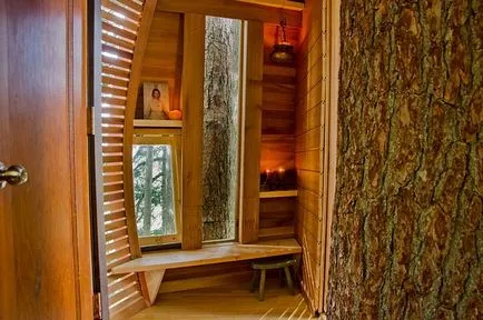 Tree House - 50 de idei pentru a traduce în realitate
