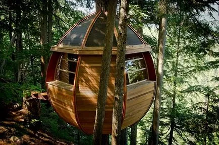 Tree House - 50 de idei pentru a traduce în realitate