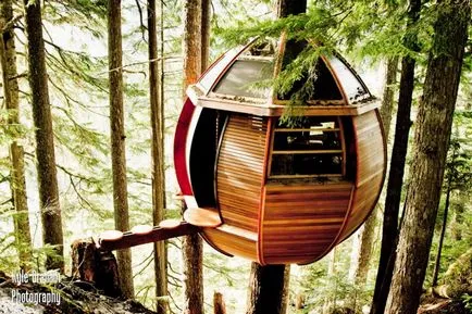 Tree House - 50 de idei pentru a traduce în realitate