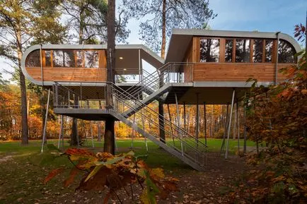 Cabane pe copac fotografie în afara și în interiorul, arhitectura în anunț revista, revista de anunțuri (în afara) Cabane pe copac fotografie în afara și în interiorul, arhitectura în anunț revista, revista de anunțuri