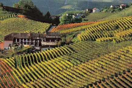 Obiective Italia