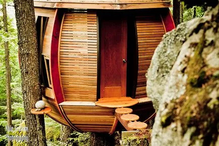 Tree House - 50 de idei pentru a traduce în realitate