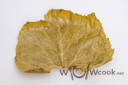 Dolma în frunze de struguri, cu un pas cu pas reteta fotografii (poze) Dolma în frunze de struguri, cu un pas cu pas reteta fotografii