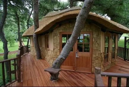 Tree House - 50 de idei pentru a traduce în realitate