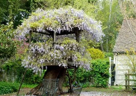 Treehouse - idei noi și vechi