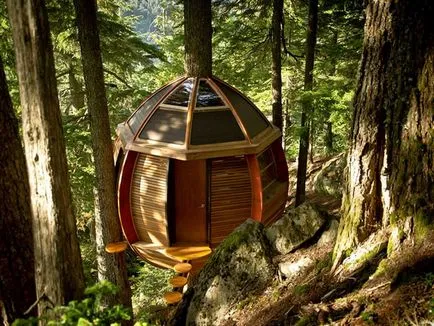 Tree House - 50 de idei pentru a traduce în realitate