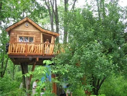 Tree House - 50 de idei pentru a traduce în realitate
