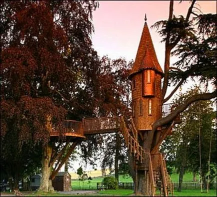 Treehouse - idei noi și vechi