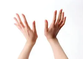 Electroneuromyography care prezintă pregătire electroneuromyographic pentru extremitățile superioare și inferioare, în cazul în care face