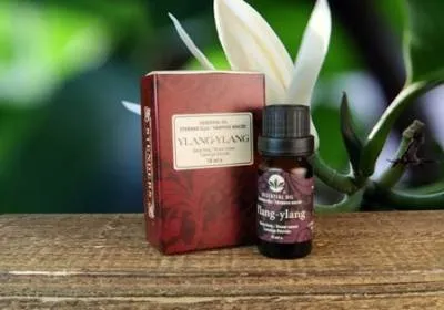 Uleiul esential de ylang-ylang păr