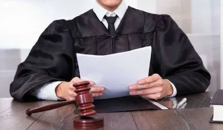 coadă electronică la pașaport - un record de modul în care să se ridice, hrana pentru animale