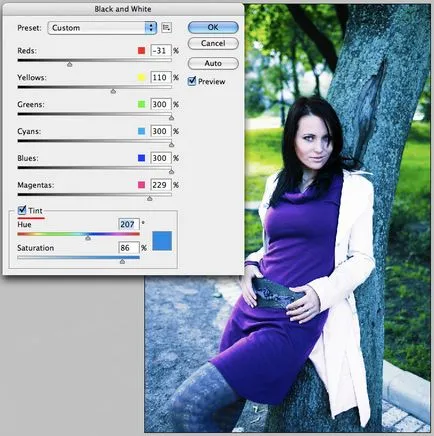 prelucrarea eficientă a fotografiilor în Photoshop (arsură) prelucrarea eficientă a fotografiilor în Photoshop