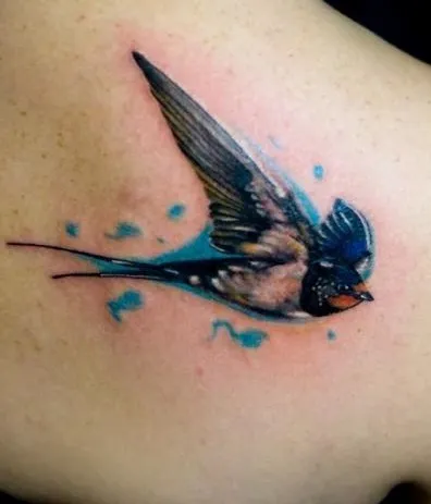 Fotografii și tatuaj valoare de rândunică