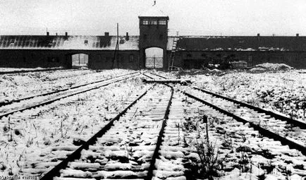 Fascistă - cine este acest sens al cuvântului, și ideologia naziștilor
