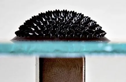 Ferrofluid - ceea ce este și cum să facă ferofluidul în sine, dezbatere știință