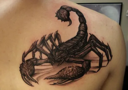 Fotografii și semnificația unui tatuaj scorpion (o insectă periculoasă) Fotografii și semnificația unui tatuaj scorpion