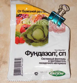 Fundazol - descriere, utilizator, aplicație, rata de aplicare (norma) Fundazol - descriere, utilizator, aplicație, ratele de aplicare