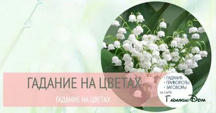 Ghicitul pe flori 1
