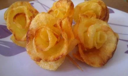 Fryer, care pot găti rețete pentru friteuze (posibil) Fryer, care pot găti rețete pentru friteuze