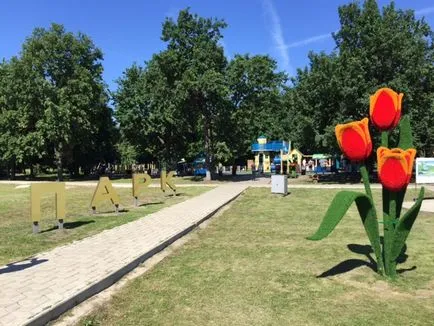 Un food court, antrenament stradă, crearea de rețele și transplantate Lenin