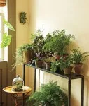 Decât să distrugă plantele Decât să distrugă plantele