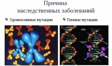 Gene mutații exemple, cauze, tipuri, mecanisme - vikinauka întrebam despre complex scurt, simplu