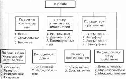 Gene mutații exemple, cauze, tipuri, mecanisme - vikinauka întrebam despre complex scurt, simplu