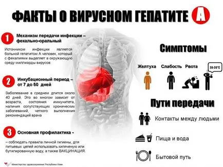 Hepatita B și ceea ce este și modul în care se transmite, simptome ale unei boli infecțioase, diagnostic și tratament al Botkin (boala) Hepatita B și ceea ce este și modul în care se transmite, simptome ale unei boli infecțioase, diagnostic și tratament al Botkin