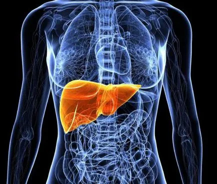 hepatobiliara