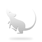 Anul caracteristicile Dog, anul de compatibilitatea cu alte semne de câine