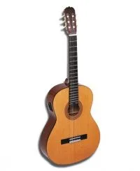 Descriere Instrument muzical chitara