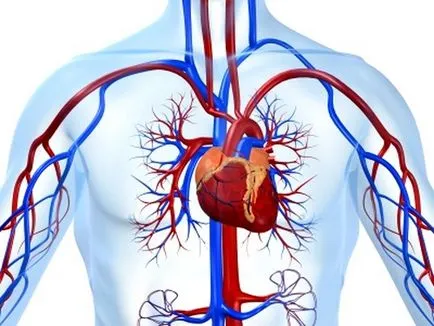 Hirudoterapia, indicații și contraindicații