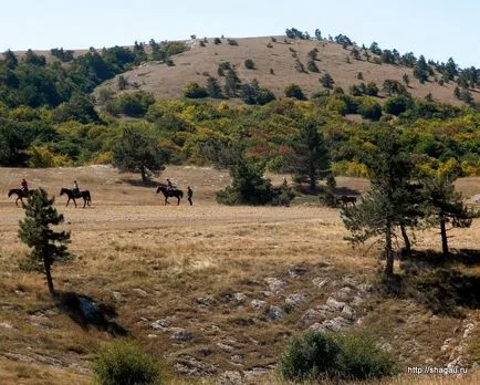 Ai-Petri de munte în fotografii Crimeea, cum să obțineți o recenzie (fotografii) Ai-Petri de munte în fotografii Crimeea, cum să obțineți un comentariu